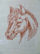 quadro cavallo quadro cavallo