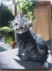 Dipinto: Piccolo gatto al sole