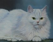 Dipinto:Ritratto della Gatta Lulù