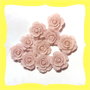 10 rose forate 14mm resina