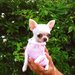 Maglioncino per chihuahua Pets Fashion Scalda cuore per cuccioli