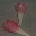 coni riso confettata artigianali petali rosa