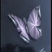 Quadro fatto a mano con fili di seta - Farfalla cangiante