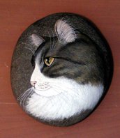Ritratto di gatto su sasso
