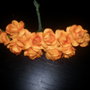144 fiori roselline arancio