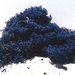 Muschio sintetico color blu 40 gr