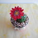 cactus con fiore rosso fatti a mano con pasta di mais,soprammobile, ideale anche  come idea regalo ad un prezzo veramente speciale
