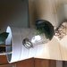Mini garden vaso lampadina riciclata 