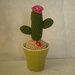 cactus uncinetto con vasetto
