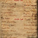 Lista di Firme dell'Esercito di Silente Harry Potter
