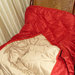 cuscino rosso con rose, racchiude un morbido  plaid