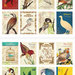 Mix 16 francobolli - Bird