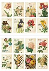 Mix 16 francobolli - Flower