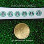 Lotto 6 loghi "Starbucks" per miniature