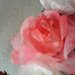 rose carta crespa
