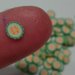 131 Fettine Melone Estivo da Polymer Clay Canes