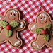 Gingerbread di Natale - Christmas Gingerbread