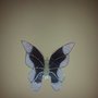farfalla da muro