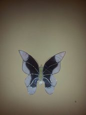 farfalla da muro