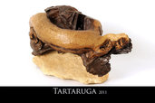 Scultura Tartaruga in legno e pietra
