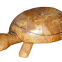 Tartaruga gigante in legno