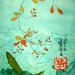 Riproduzione Utagawa Kuniyoshi: Ayus, swimming upstream with hagi branch (1830)