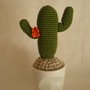 cactus uncinetto fiore arancio