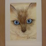 Quadro musetto di gatto con occhi azzurri