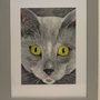 Quadro musetto di gatto grigio con occhi giallo/verdi