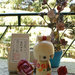 Bambola giapponese - Fioritura-A800017