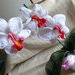 Orchidea Pianta all'uncinetto fatto a mano