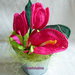 Secchiello di Tulipani  e Anthurium fucsia all'uncinetto