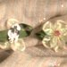 orecchini fiore verde con clips