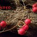  COLLANA CRONO - Collana realizzata con filo in ottone e aggiunta di ciondoli in ottone e perle rosse -