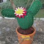 cactus in feltro verde prato con perline e fiore rosa