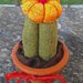 cactus in feltro con fiore arancione di stoffa