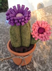 cactus in feltro con due fiori rosa e bordò