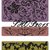  Sizzix Texture Fades Embossing Primavera per bordure 4 mascherine