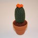 Mini cactus uncinetto