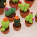 Mini cactus uncinetto