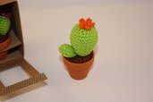 Mini cactus fiore arancione