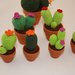 Mini cactus fiore arancione