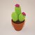 Mini cactus fiore fucsia