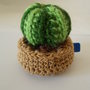 pianta grassa crochet