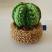pianta grassa crochet