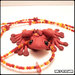 Ranocchia Rossa - Red Frog