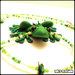 Ranocchia verde - Green Frog
