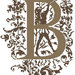 B - Monogramme Ornemental - Schema Punto Croce Iniziale B - Rouge du Rhin