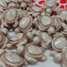 10 Perline Tartarughe colore CREMA