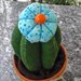 cactus in feltro con fiore azzurro di stoffa